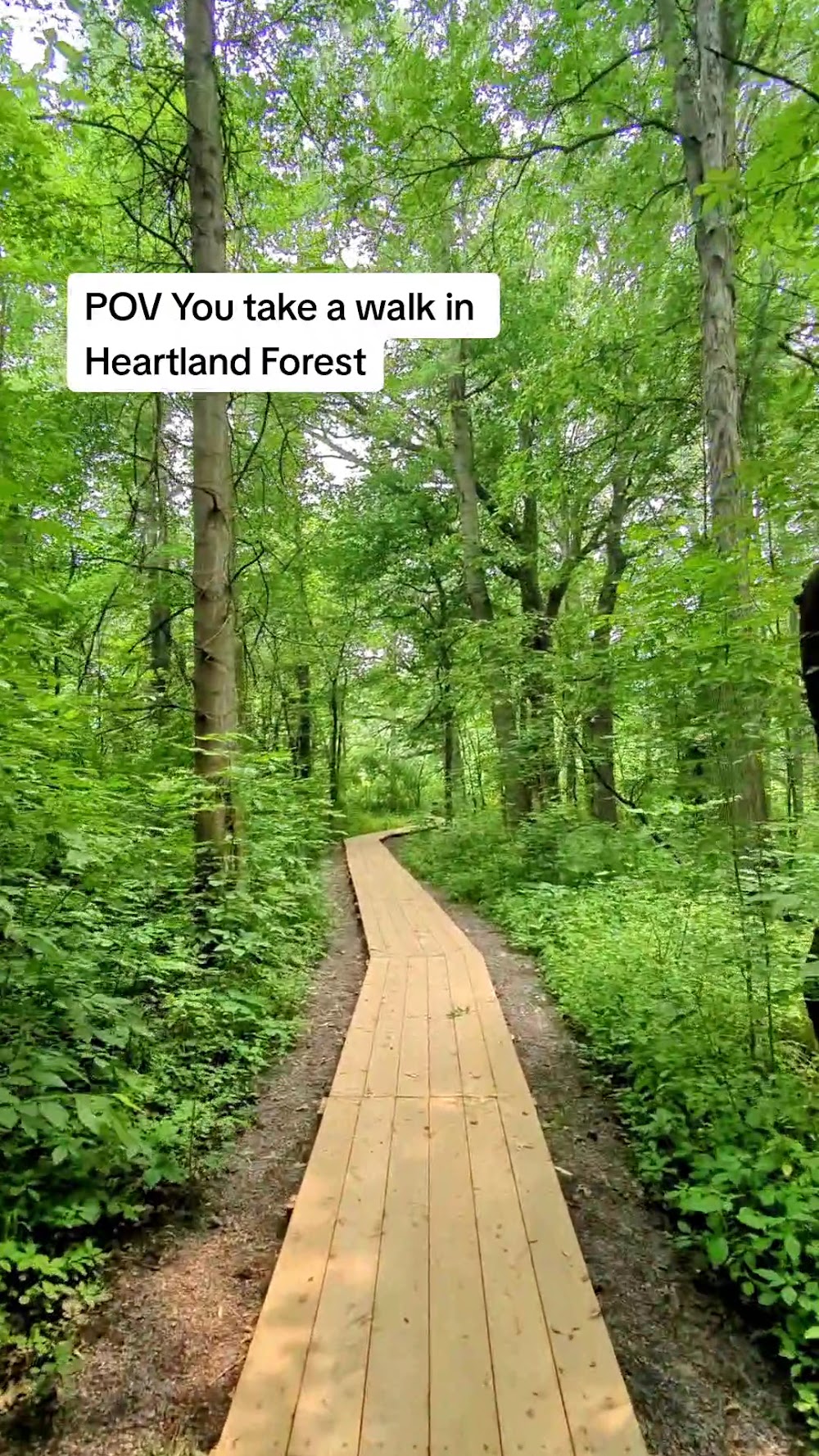 Labyrinth Escape Games - Reviews, Photos & Phone Number - Updated December  2025 - Performing Arts in Aurora, Regional Municipality of York - Wheree